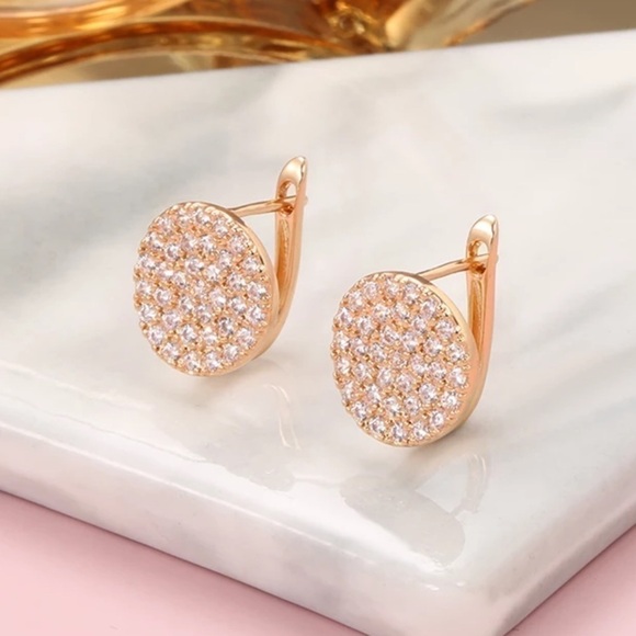 Rose Gold Full Micro Pave Round Earrings - Picture 7 of 9